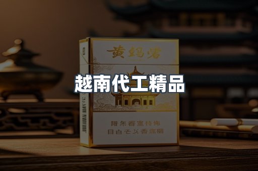 越南代工精品